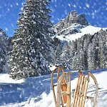 Allod Park Haus C 705 By Interhome 达沃斯