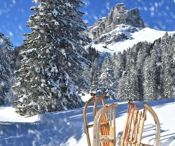 Allod Park Haus C 705 By Interhome Davos